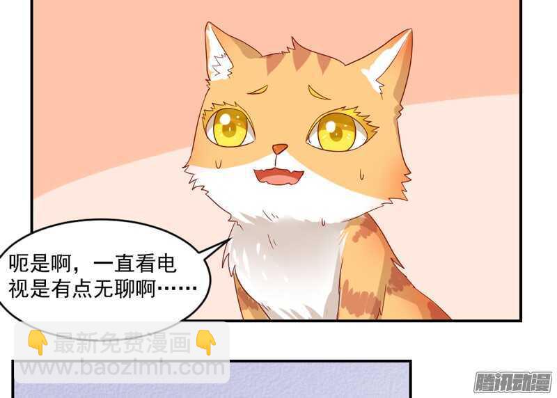 猫样温柔的你，眼中尽是深情~19
