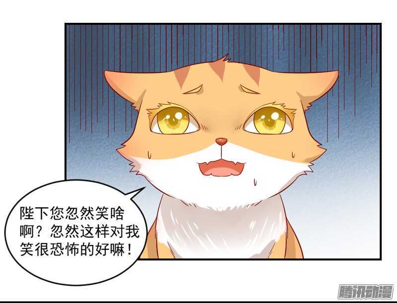 猫样温柔的你，眼中尽是深情~21