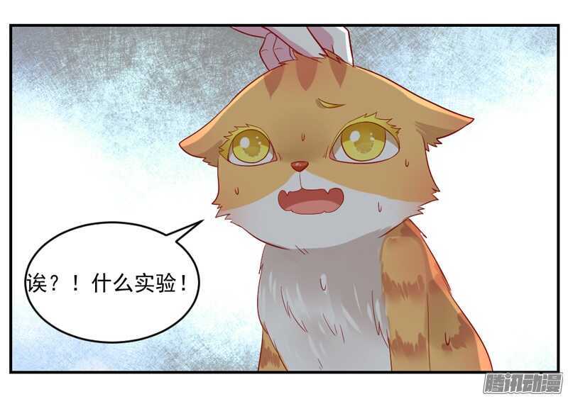 猫样温柔的你，眼中尽是深情~23