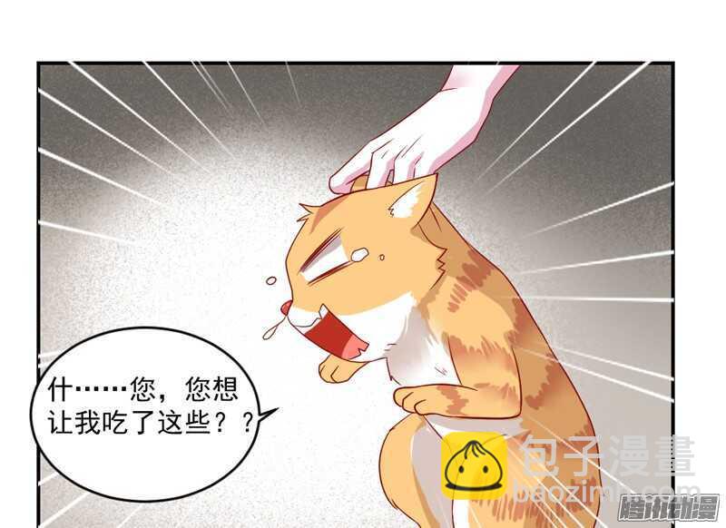 猫样温柔的你，眼中尽是深情~27