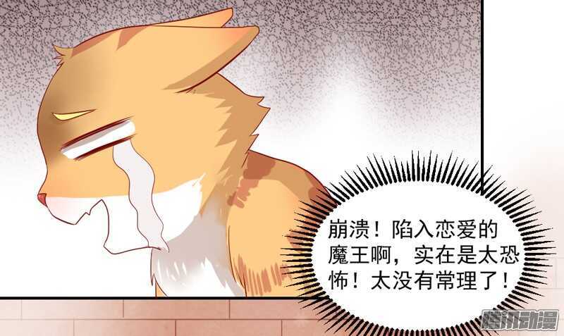猫样温柔的你，眼中尽是深情~30