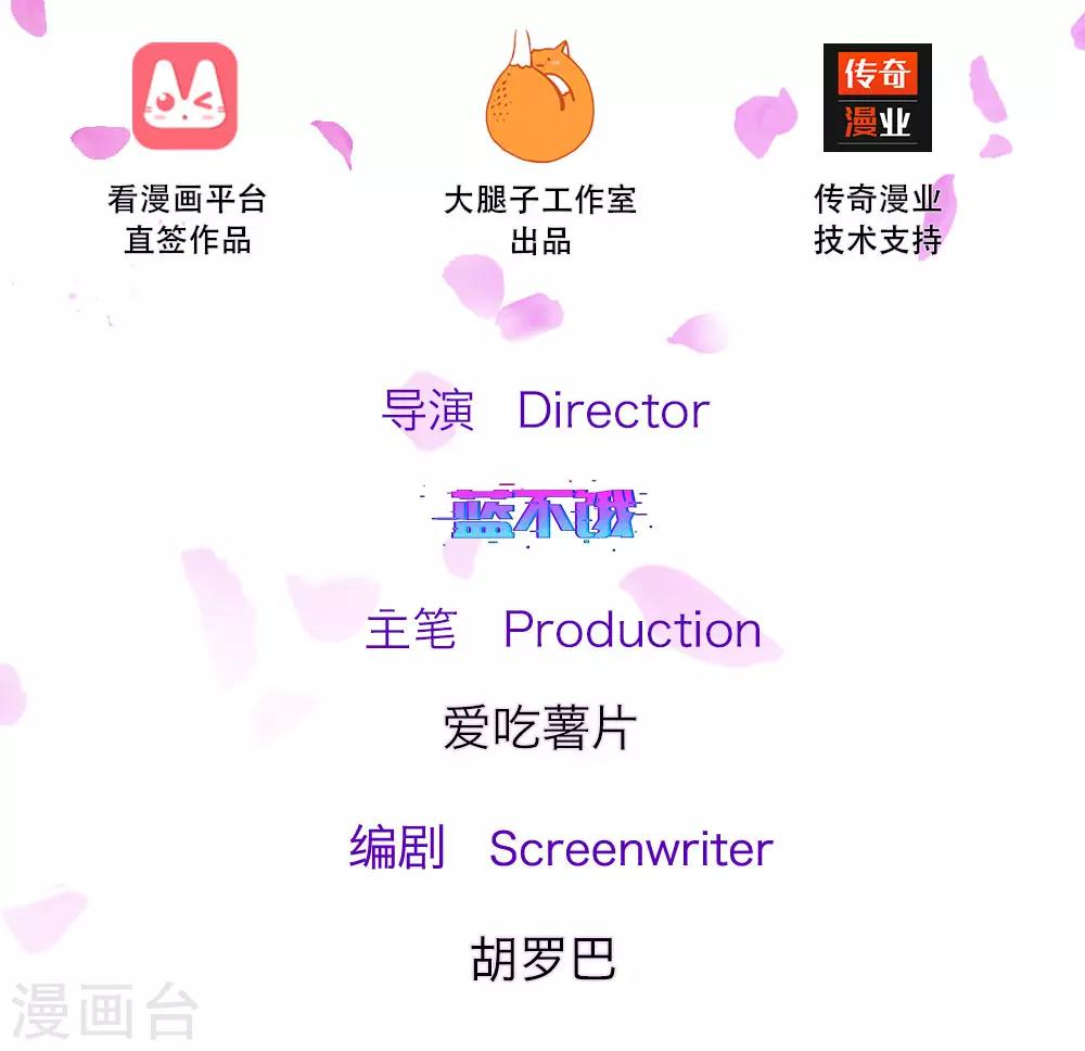 第77话 萌猫球球1