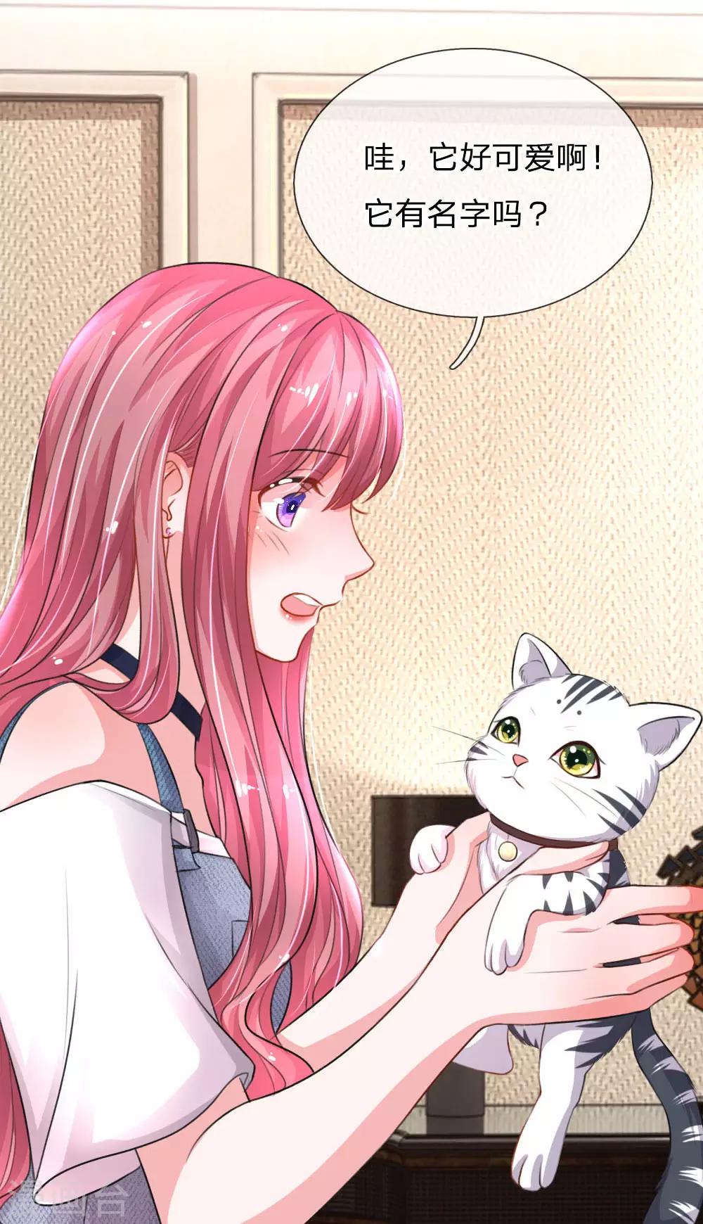 第77话 萌猫球球10