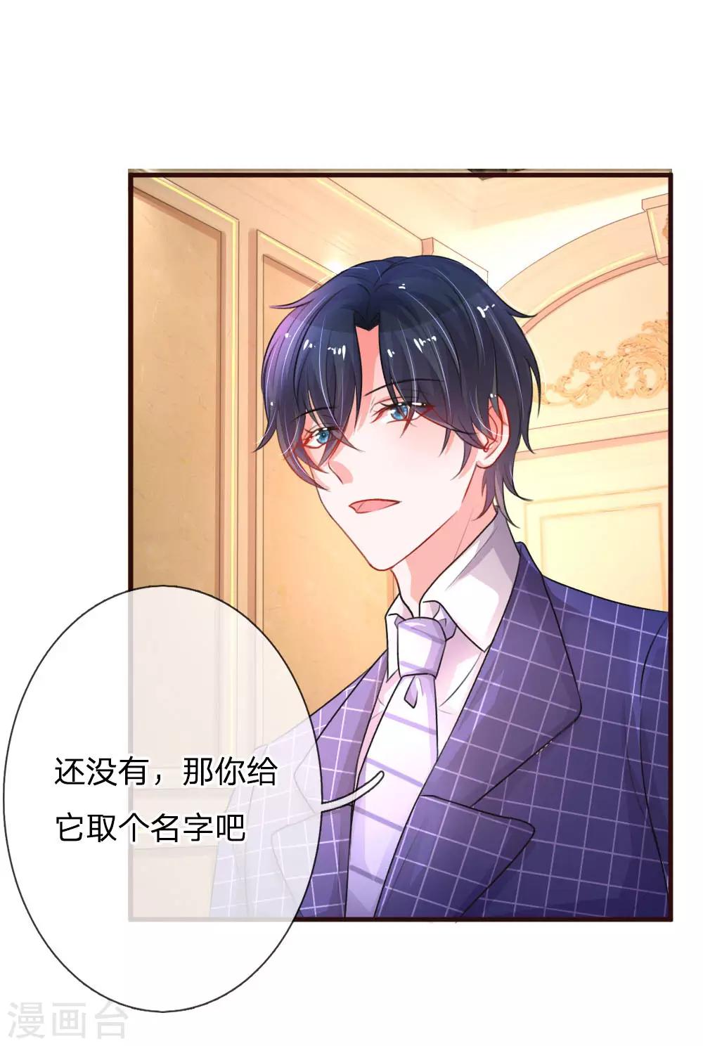 第77话 萌猫球球11