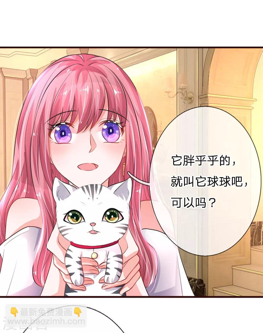 第77话 萌猫球球12