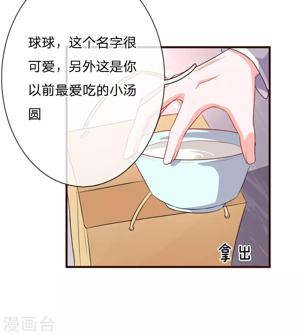 第77话 萌猫球球13