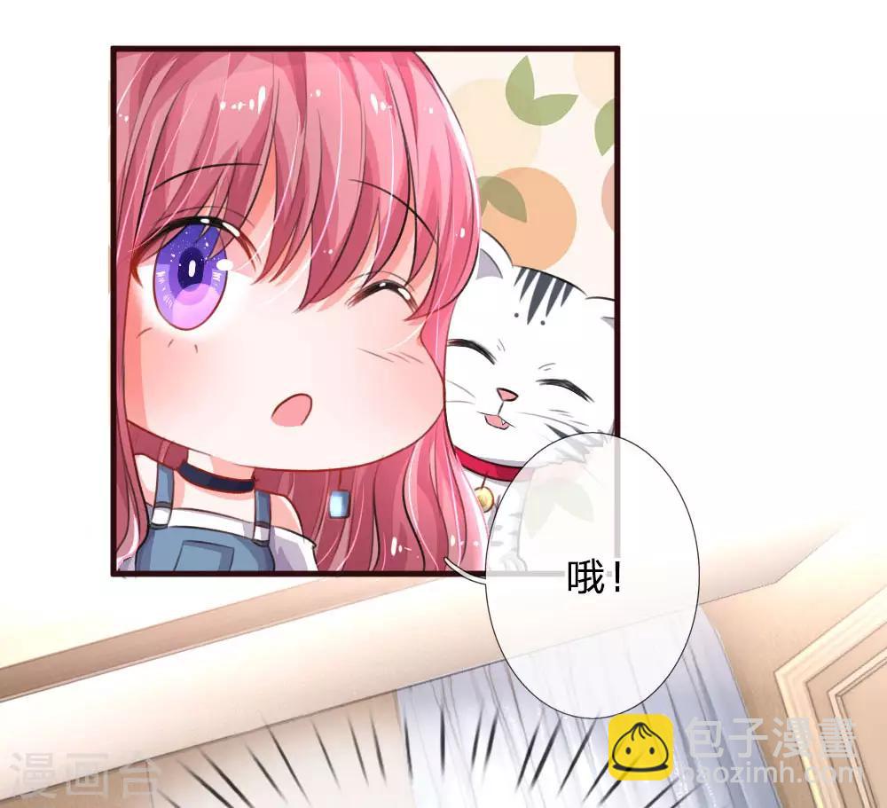 第77话 萌猫球球17