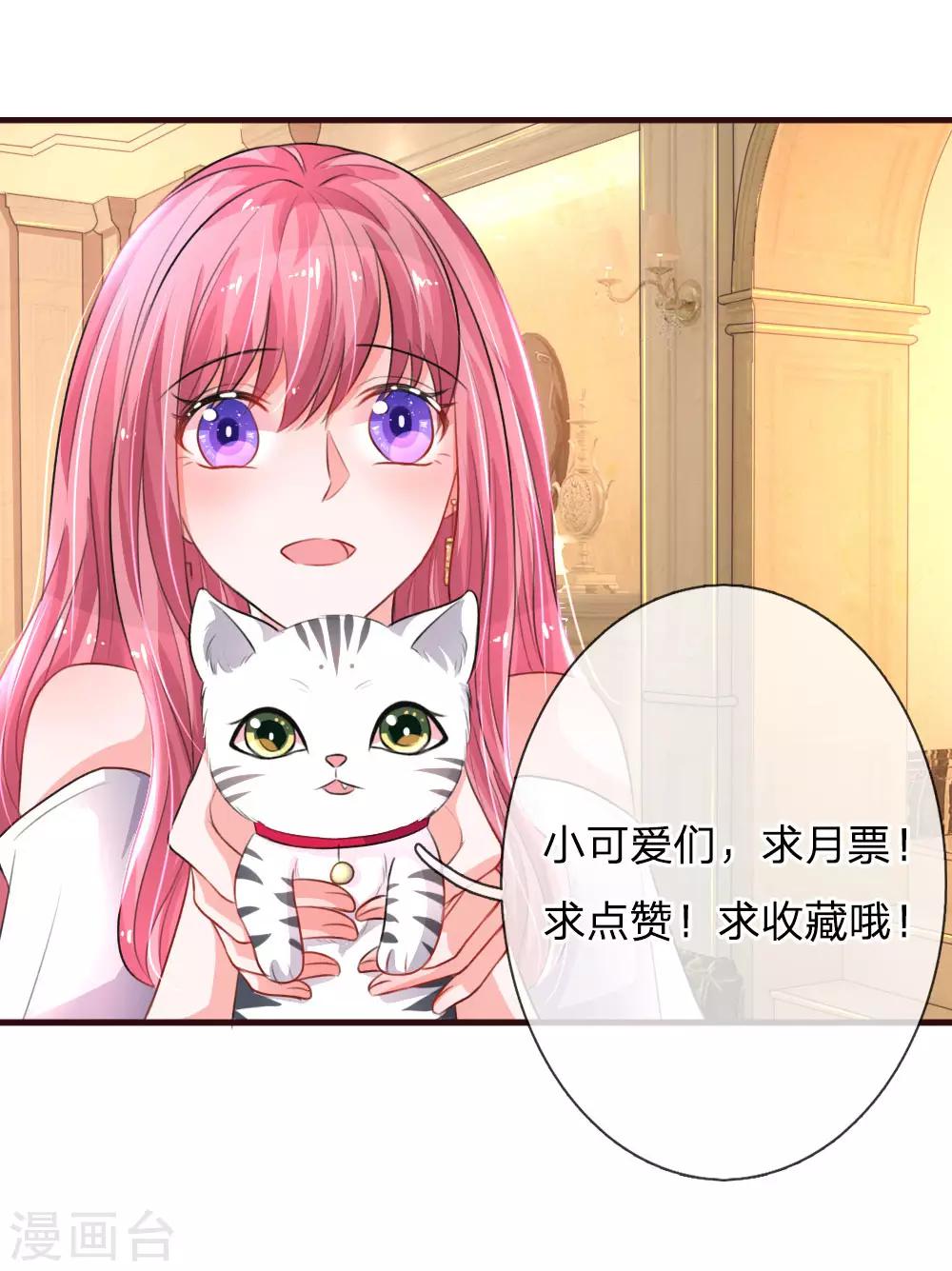 第77话 萌猫球球27
