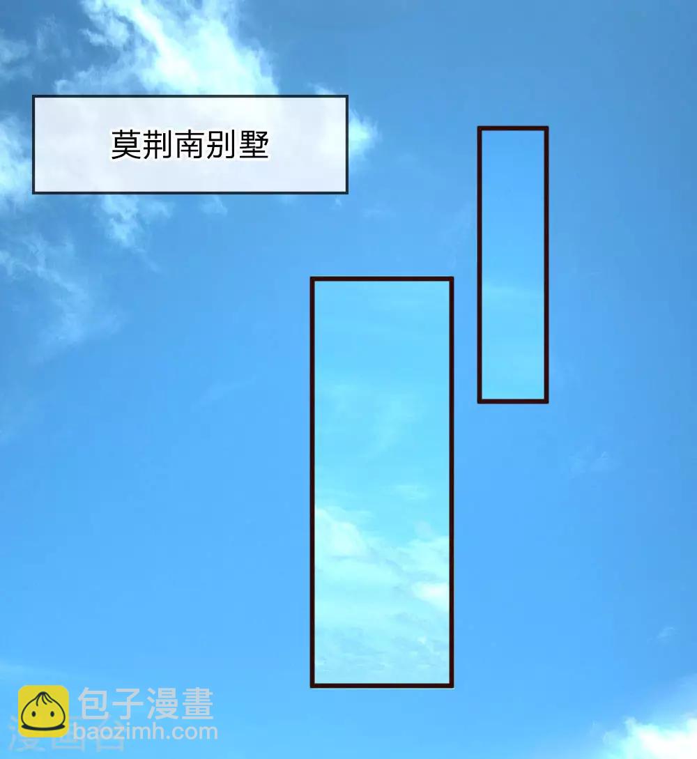 第77话 萌猫球球3