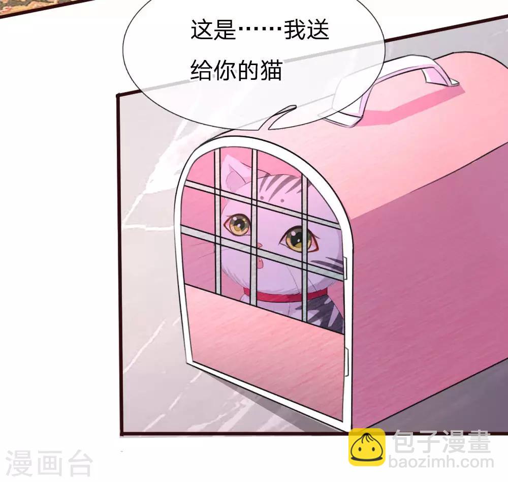 第77话 萌猫球球7
