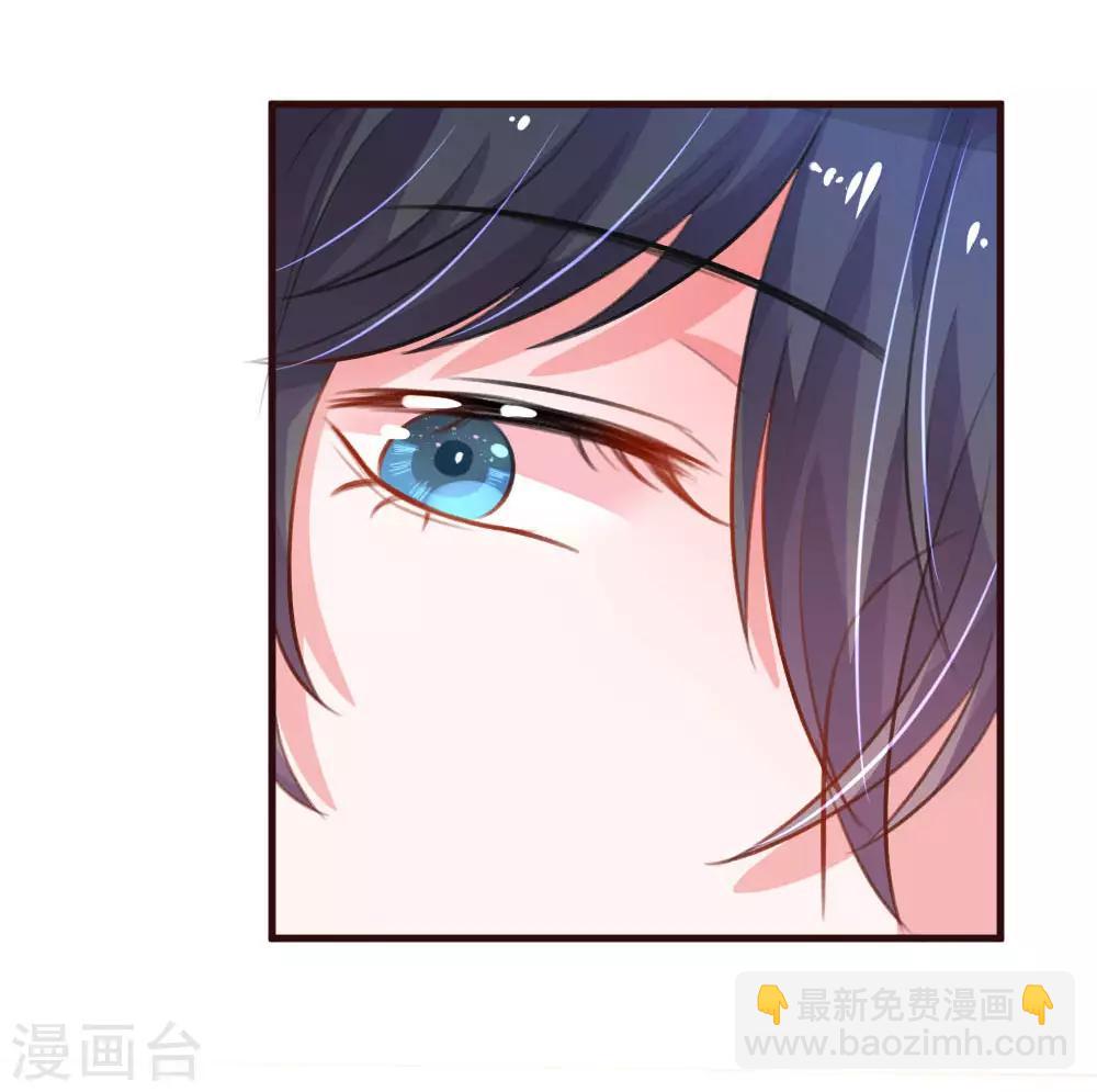 第77话 萌猫球球9