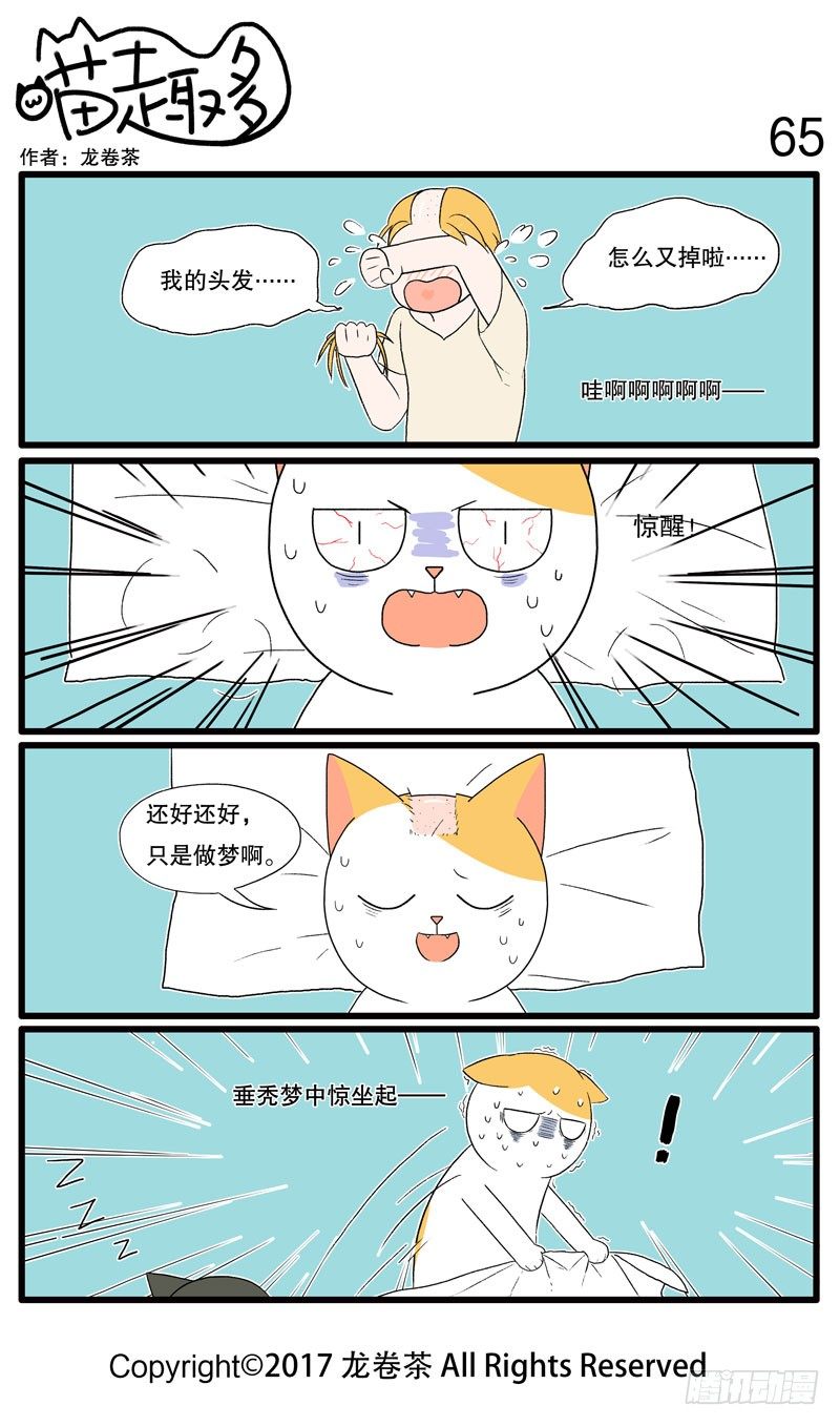 53~6512