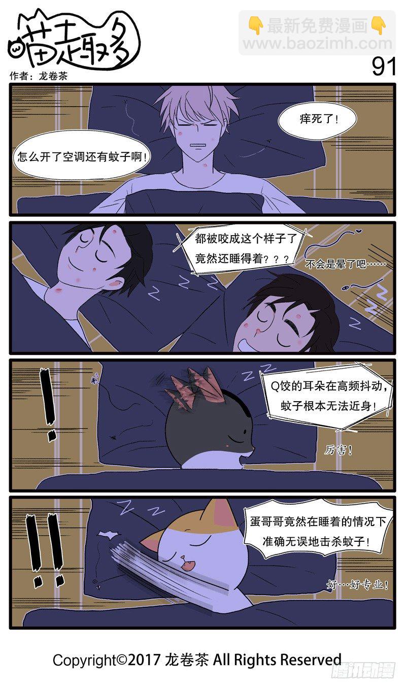 86~955