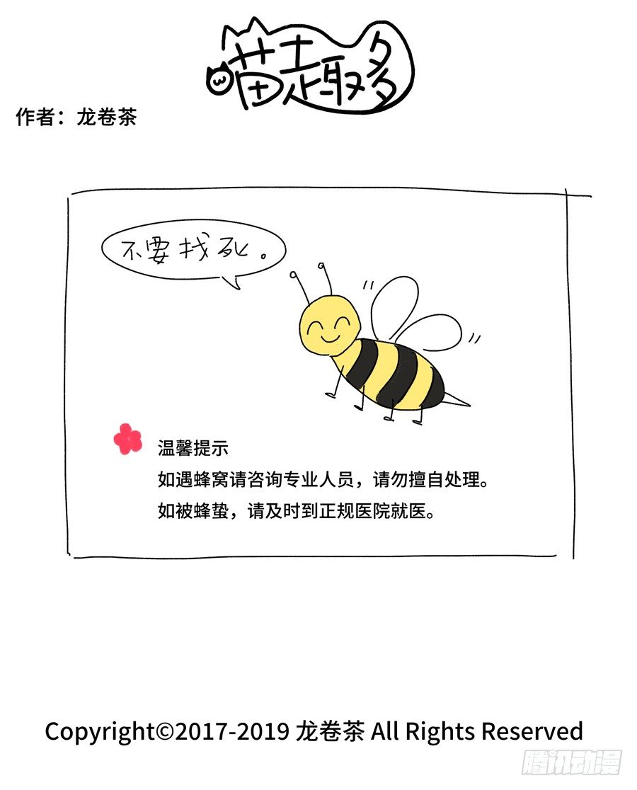 2019 春节特别篇 21
