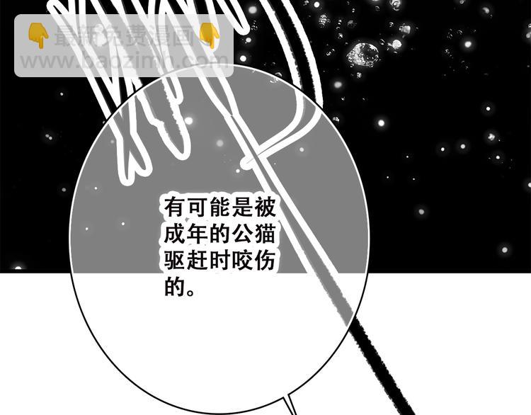 第33话 让我靠着你15