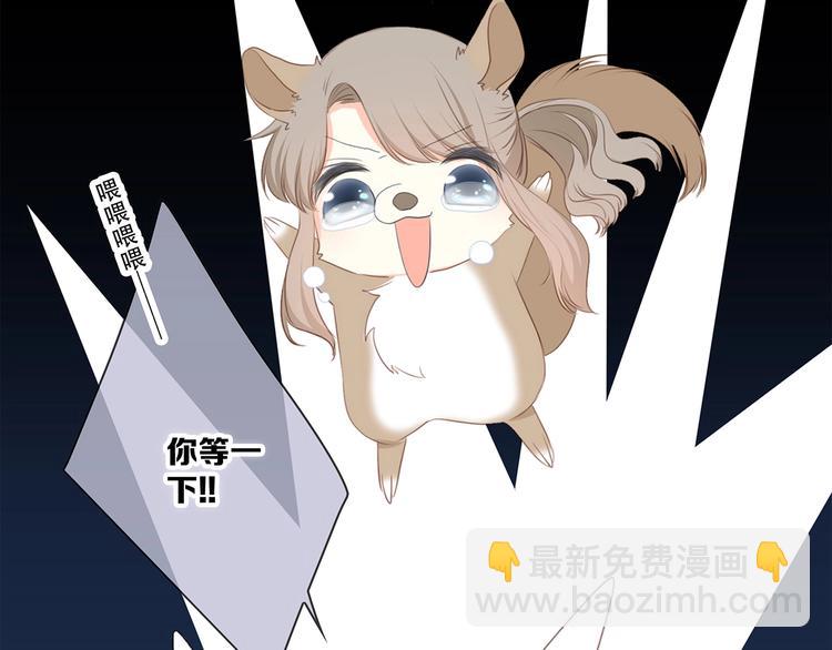 第84话  捡到企鹅妈妈？！55