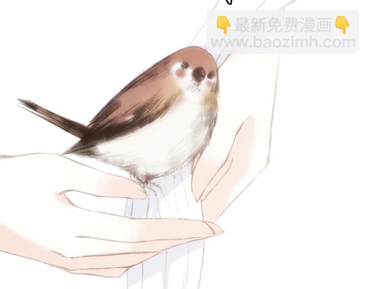 番外  花朝故人归92