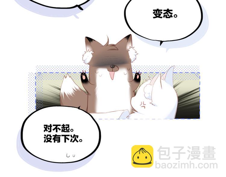 第102话 midnight44