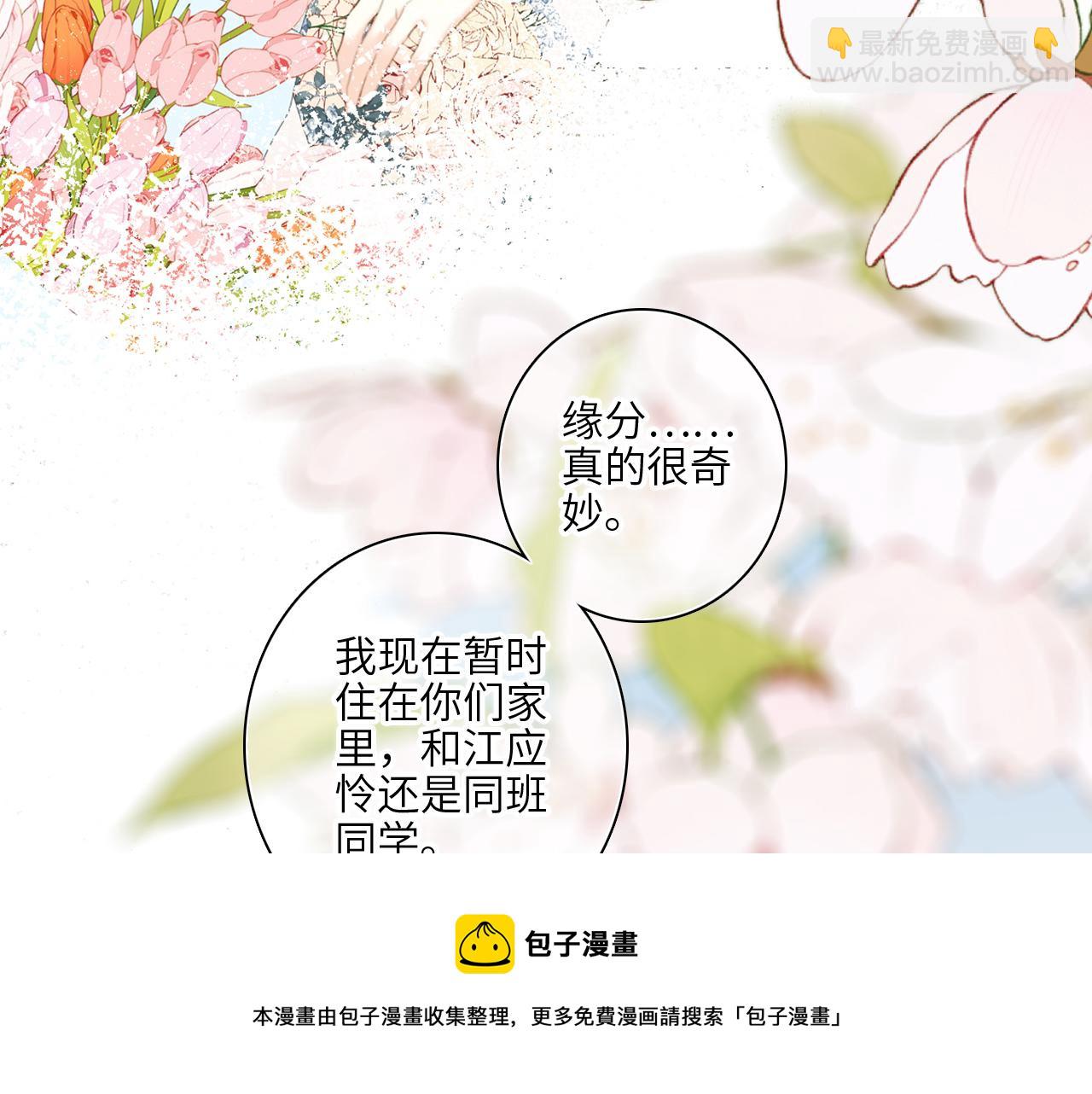 121 THE ROSE.4136