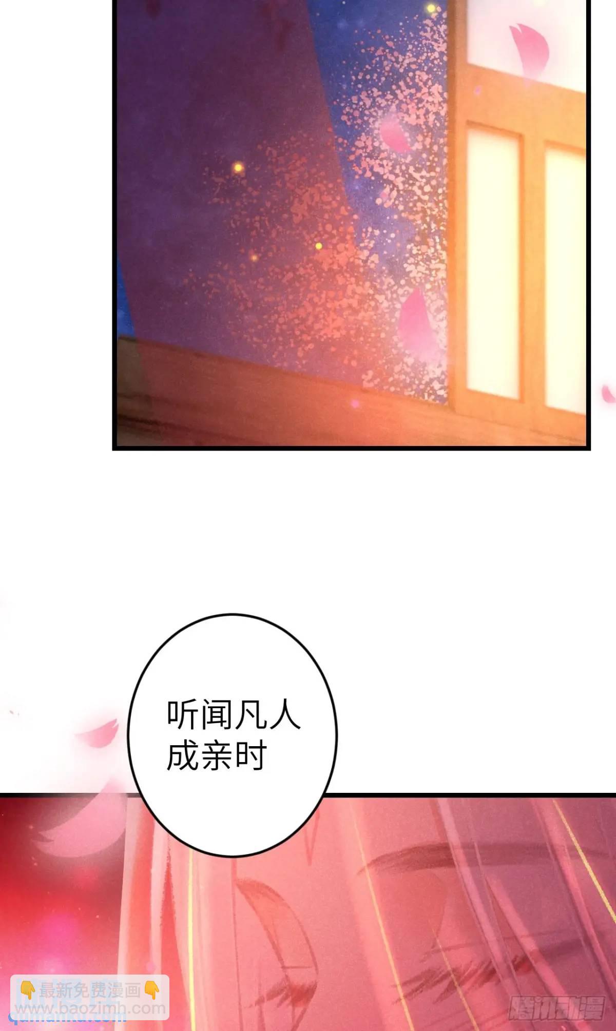 239·洞房花烛220