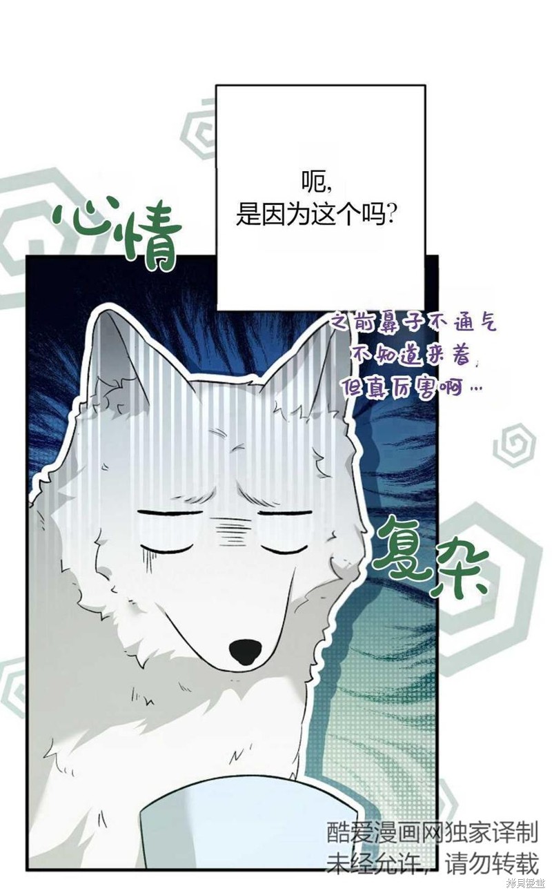 第20话19