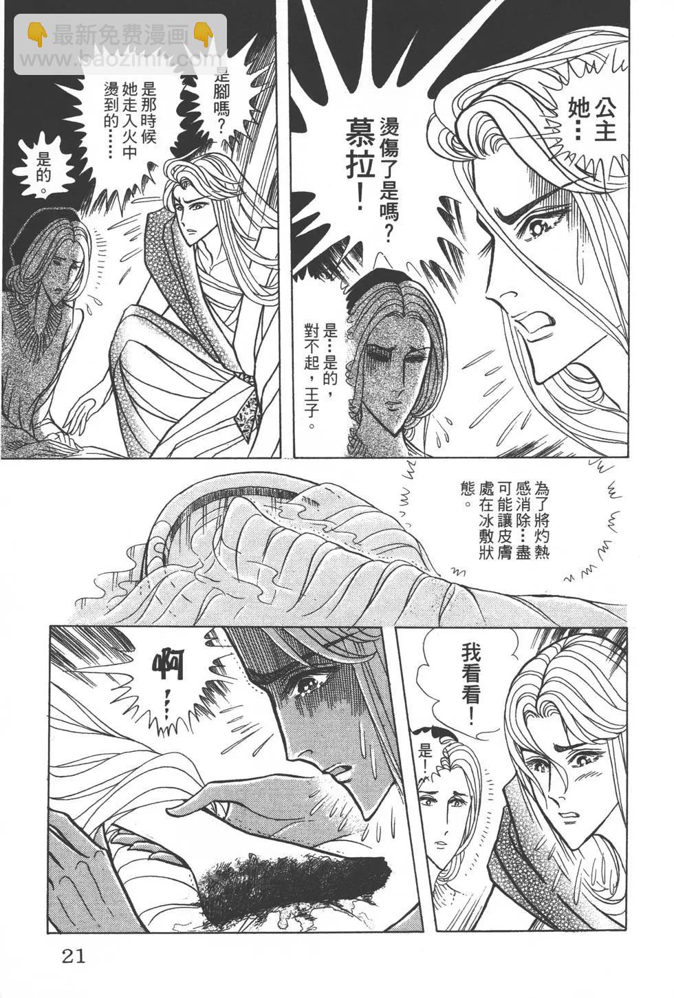 第41卷19