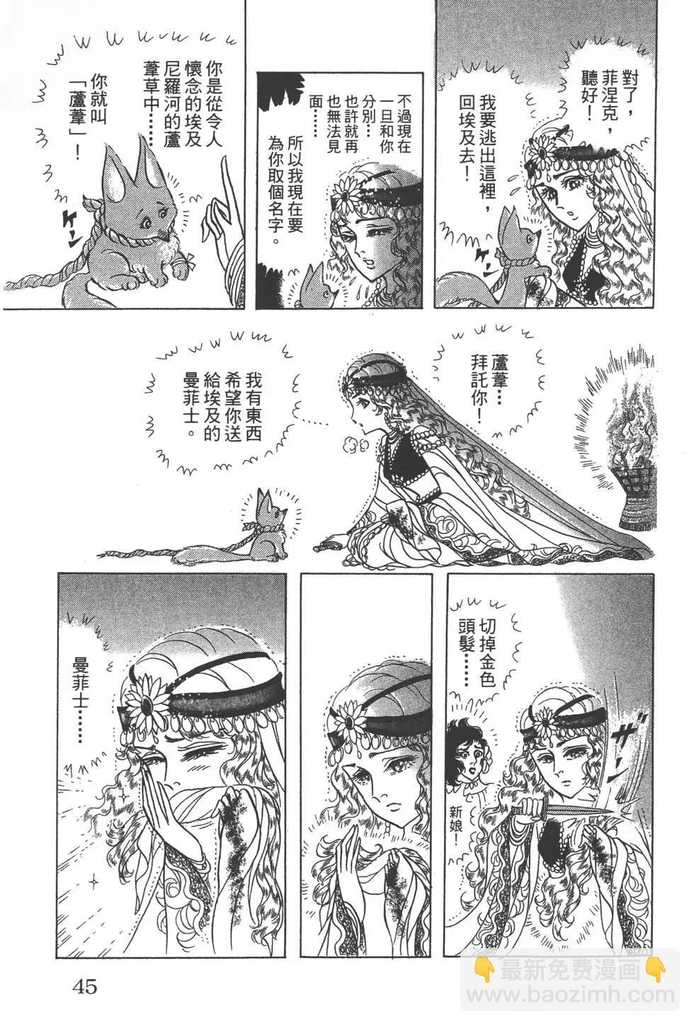 第52卷43