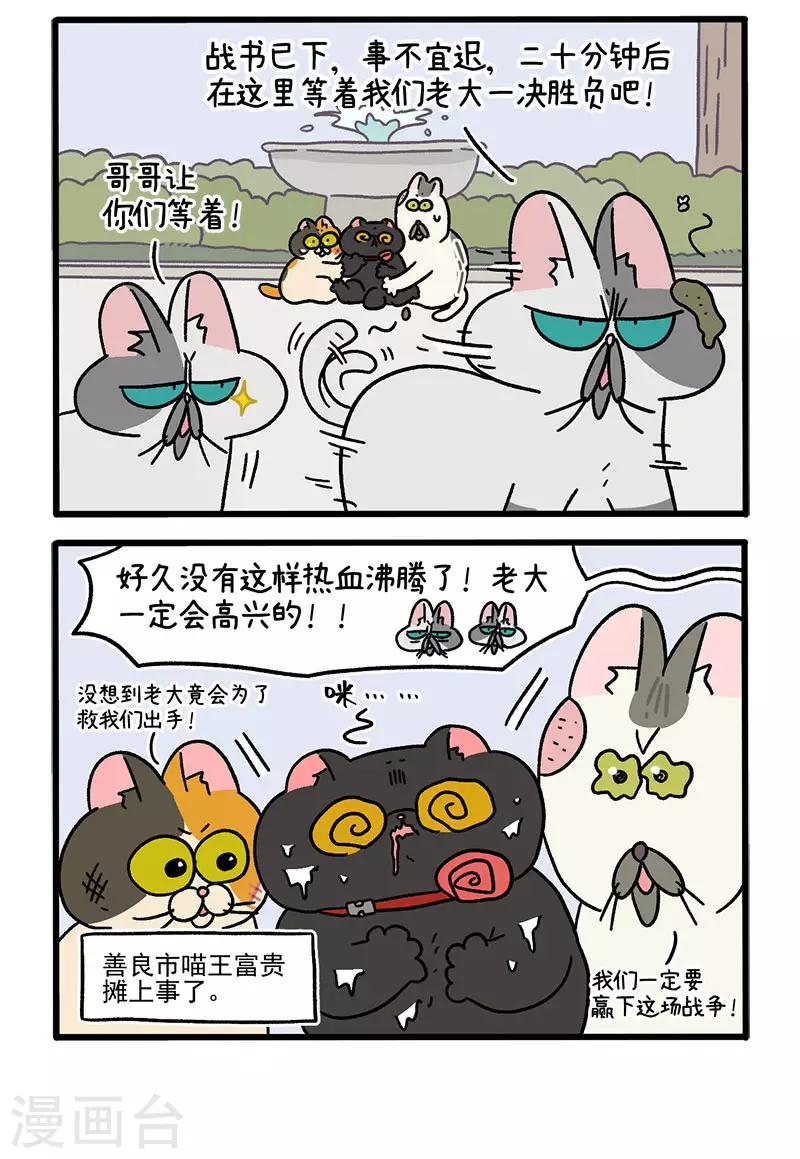 第41话 收到战书1