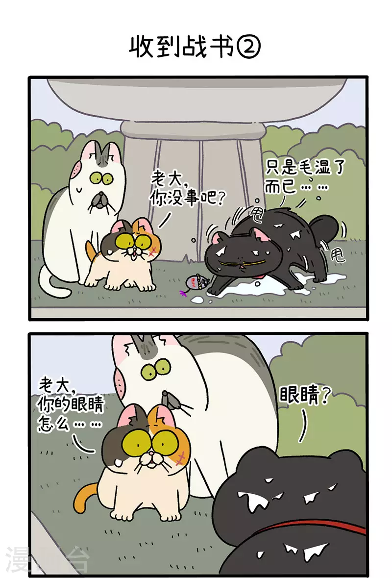第41话 收到战书2