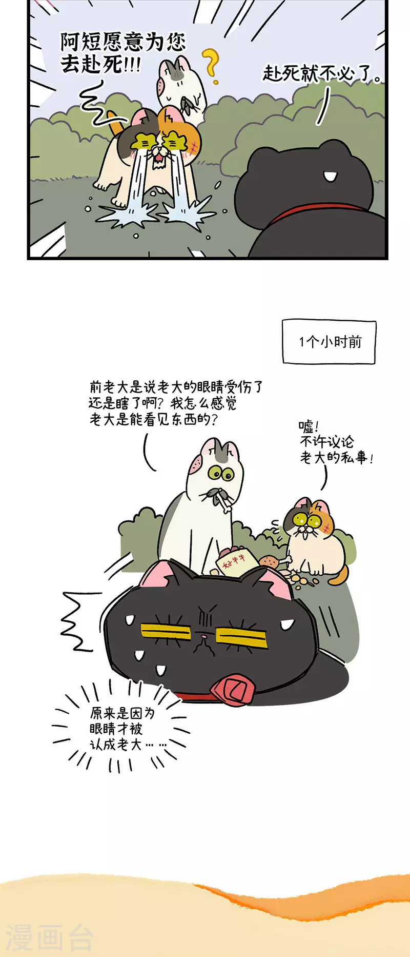 第41话 收到战书5