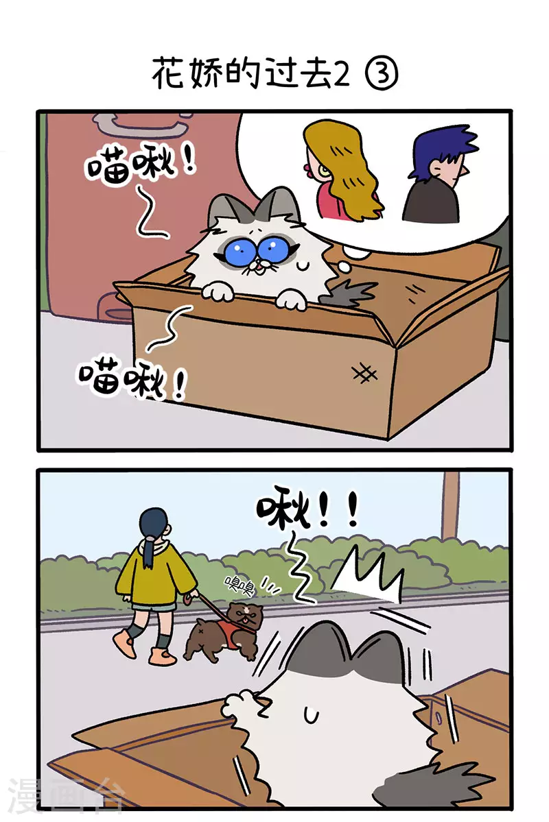 第48话1 花娇的过去4