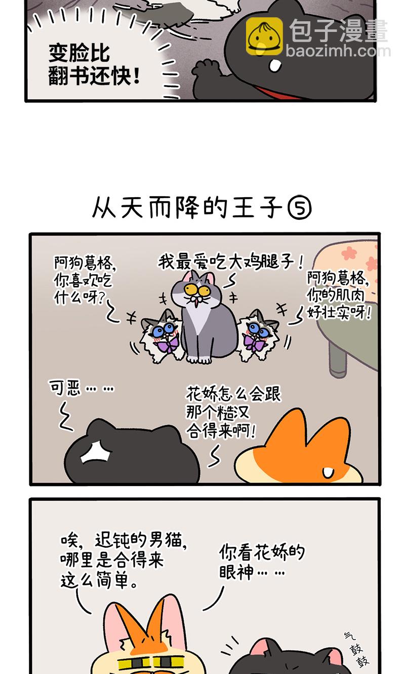 第100话2 从天而降的王子2