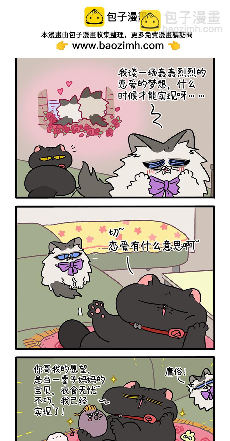 番外21上 富贵花开11