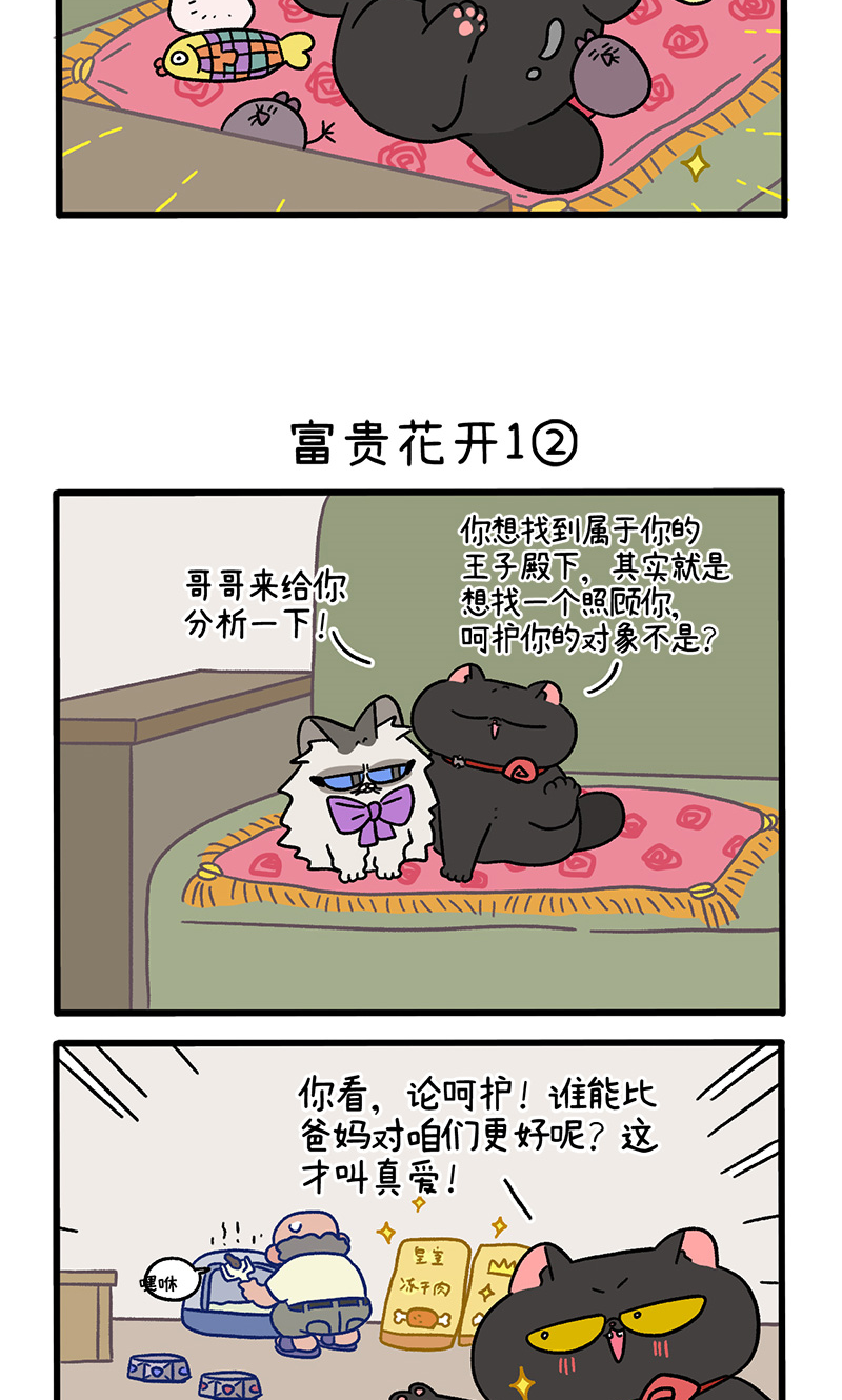 番外21上 富贵花开12