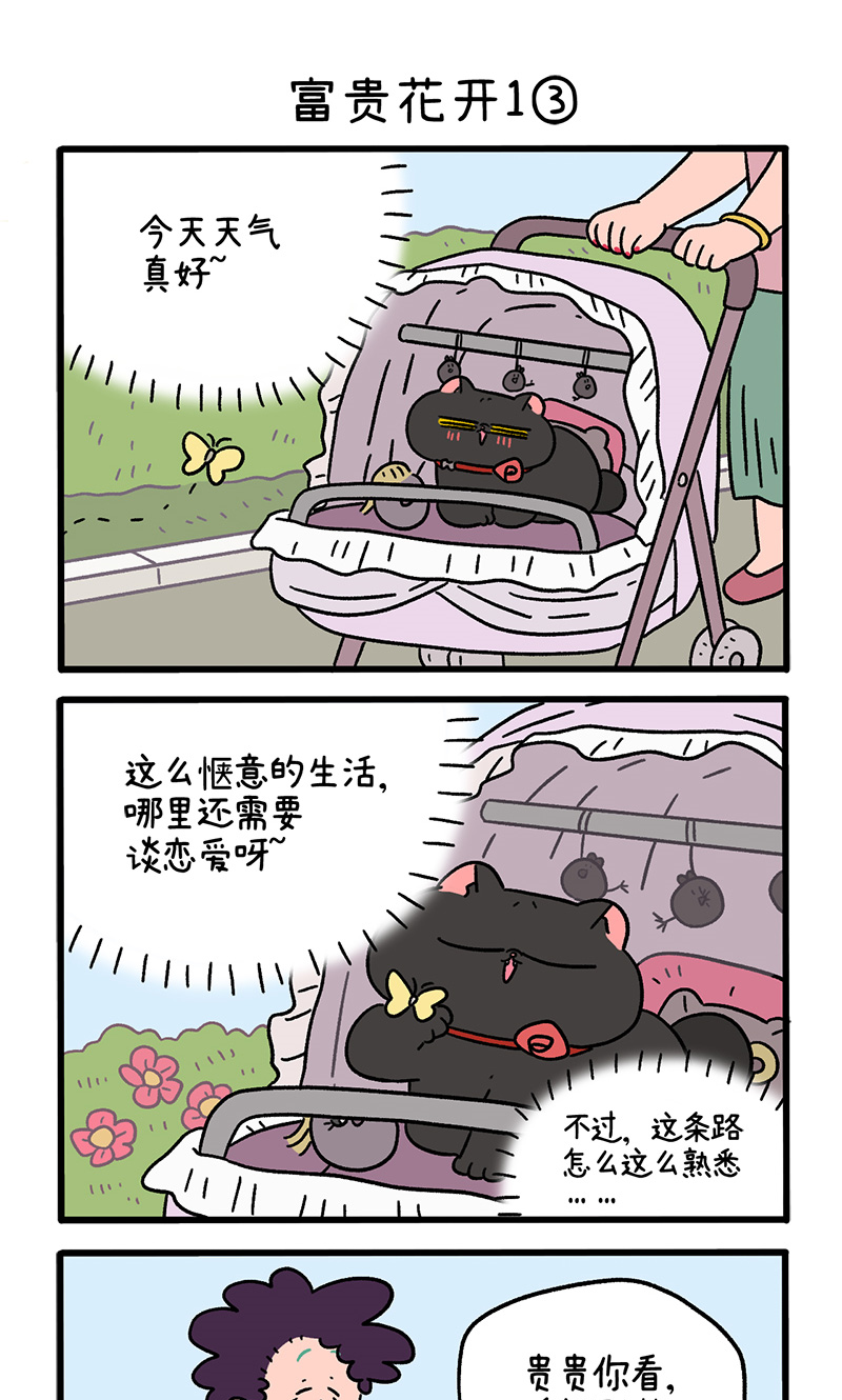 番外21上 富贵花开14