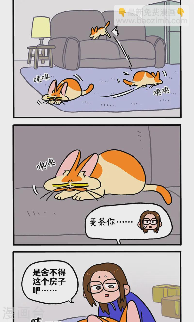 第138话2 再见第一个家1