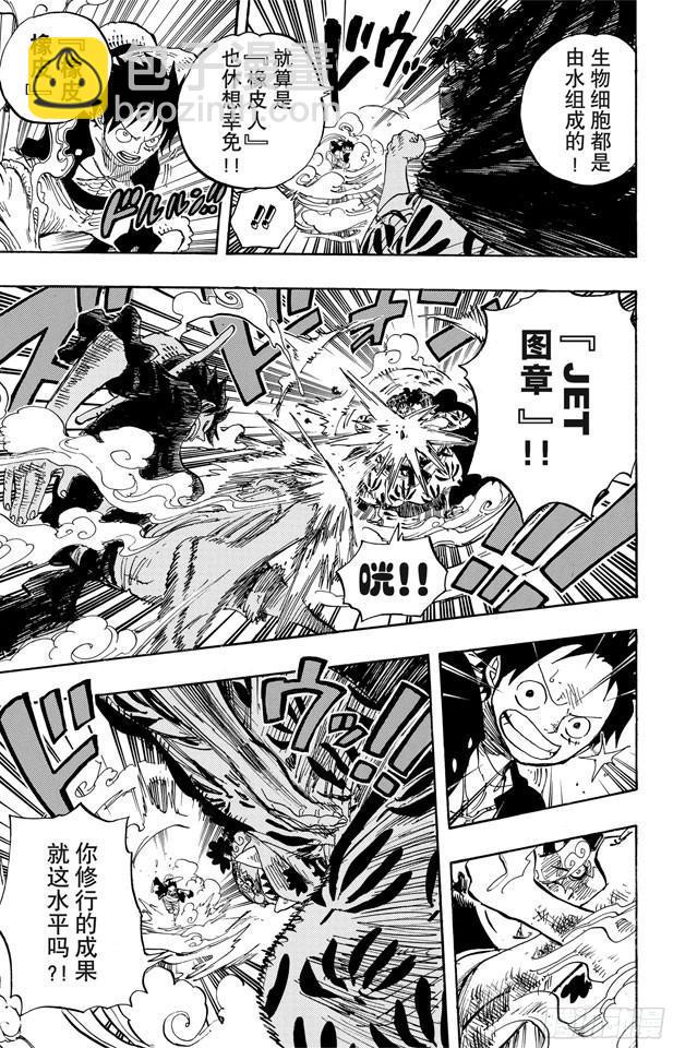 第629话 阻挡在面前的原七武海4