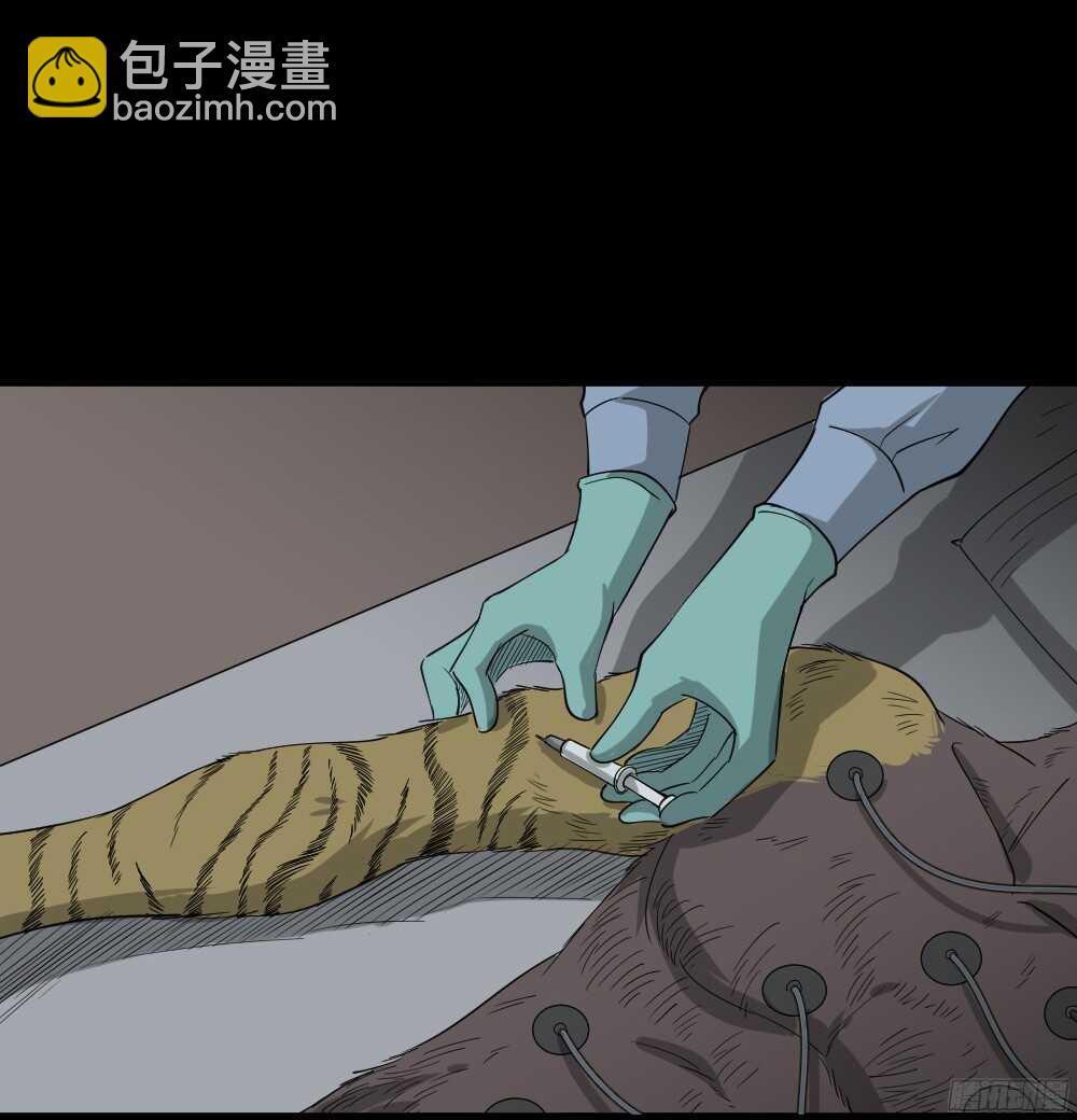 野味（4）36