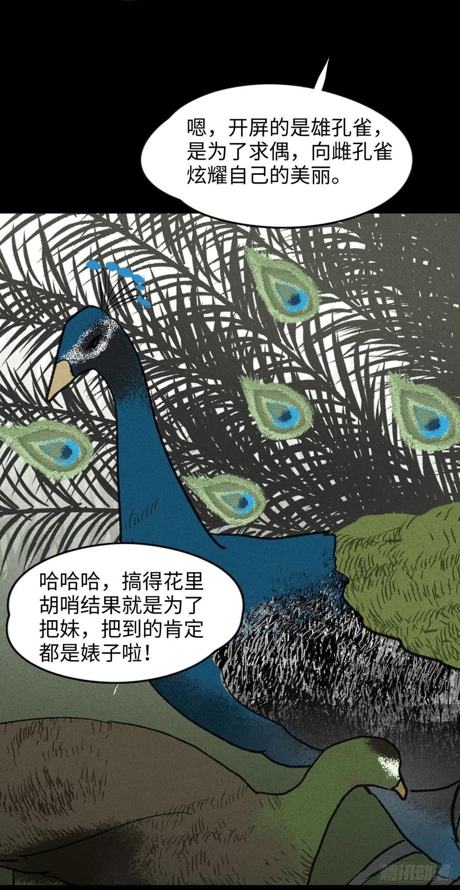 动物园13