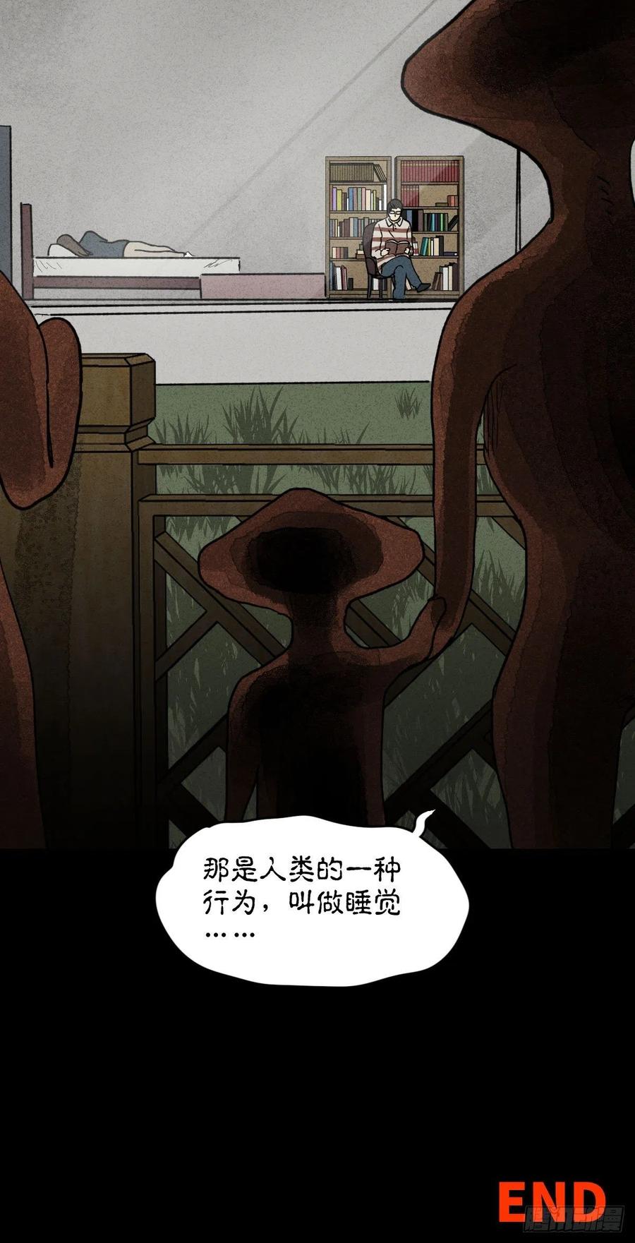 动物园26