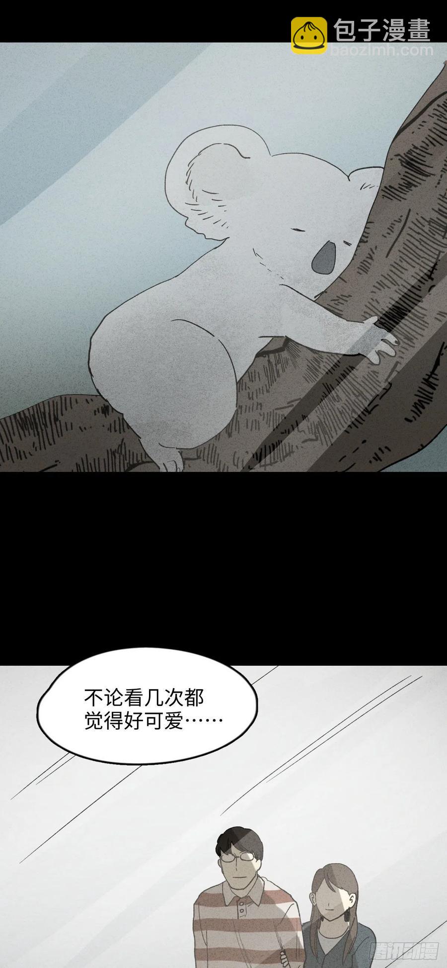 动物园4