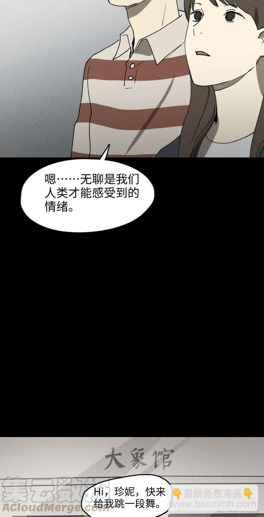 动物园6