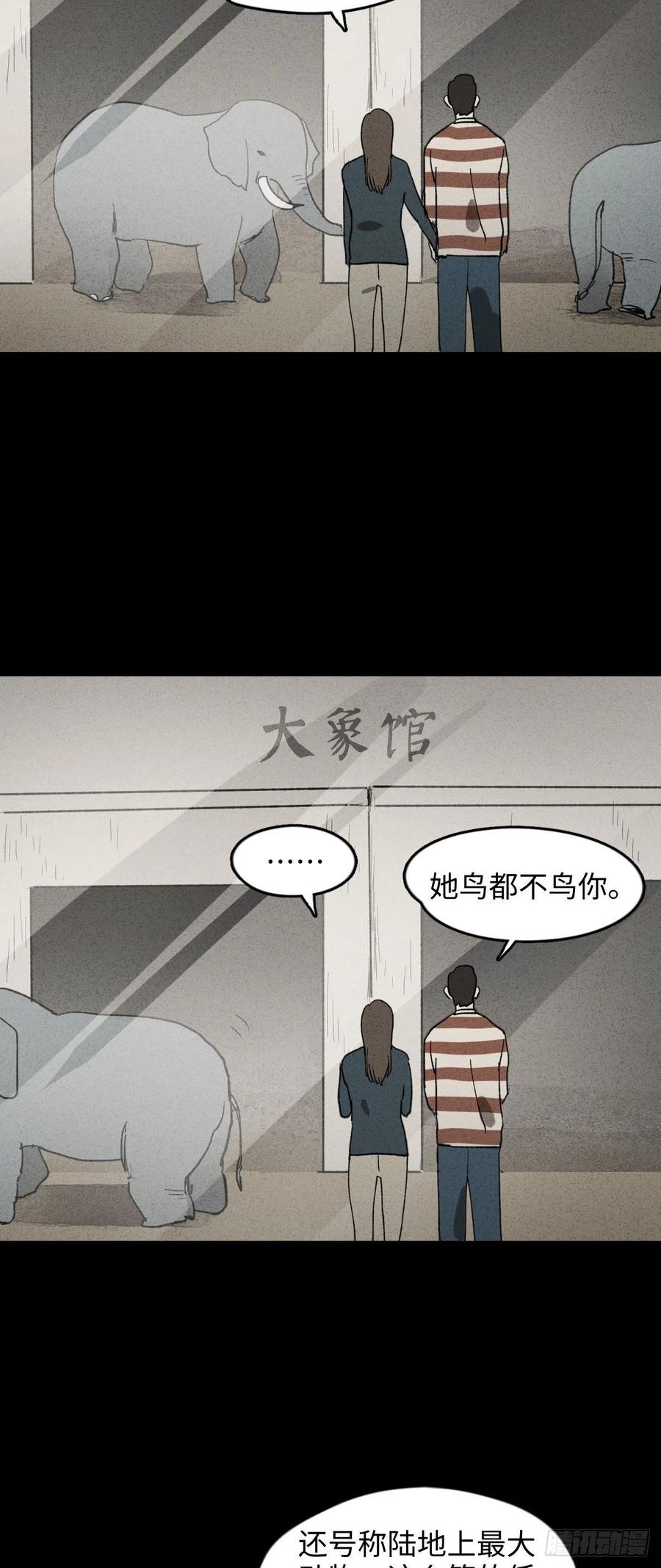 动物园7