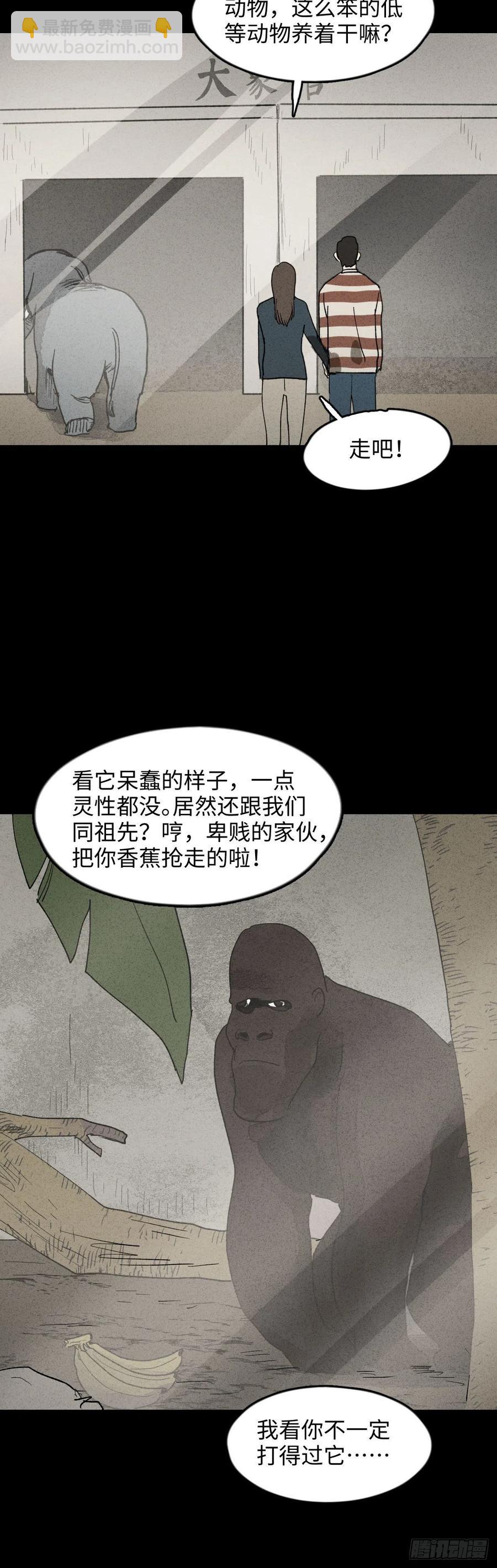 动物园8