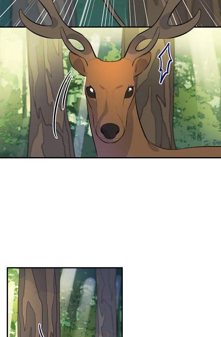 第51话25