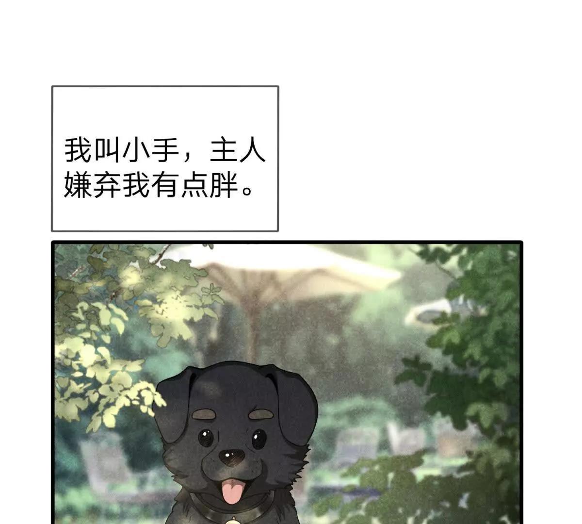 第26话 希尔瑞特留下的后手3