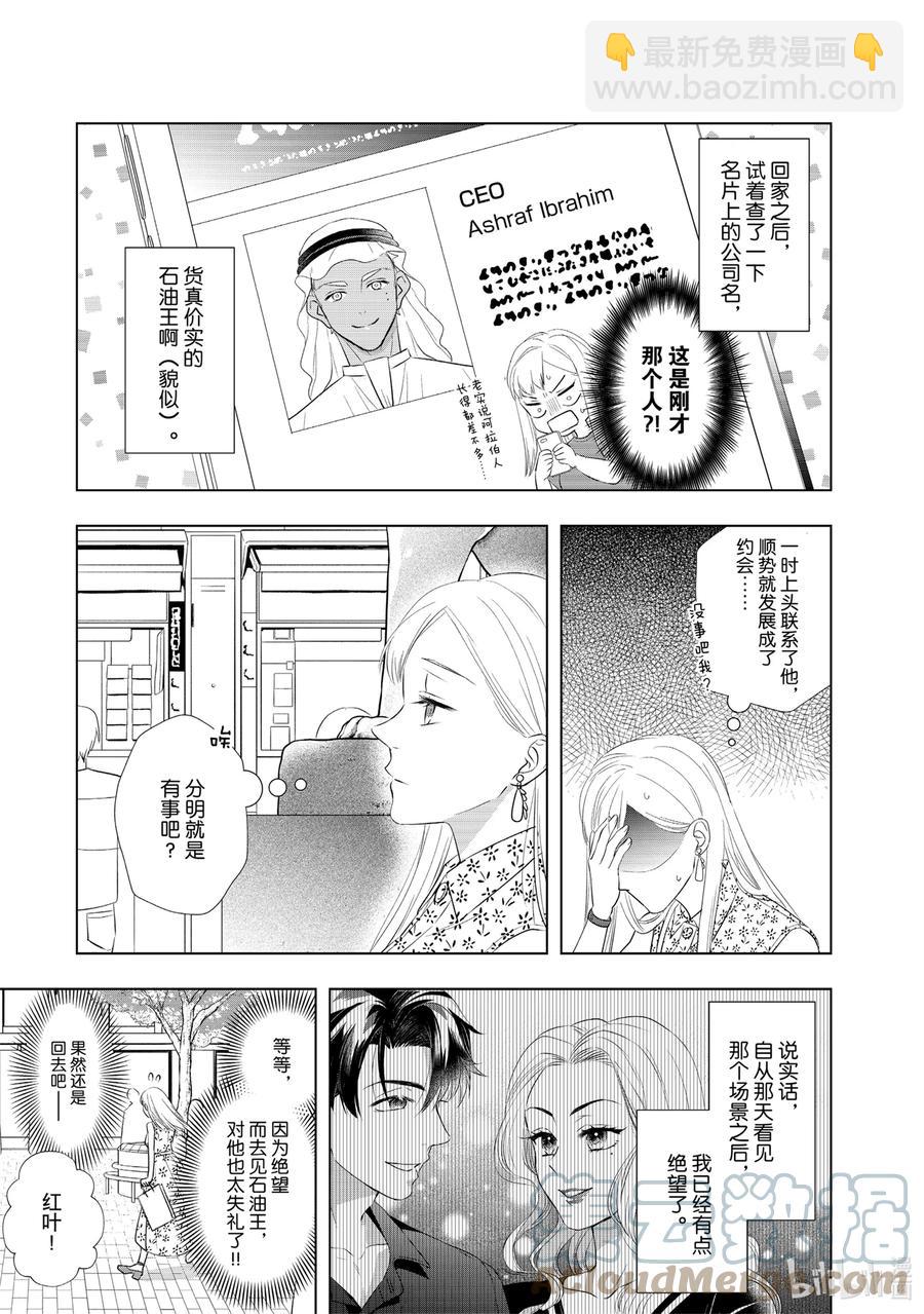 20 爱人是石油王10