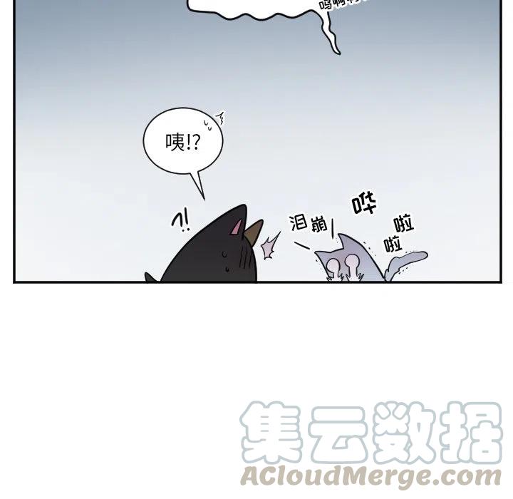 第 27 话12