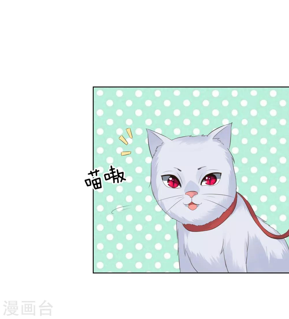第216话 左右为难7
