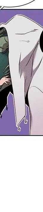 44243